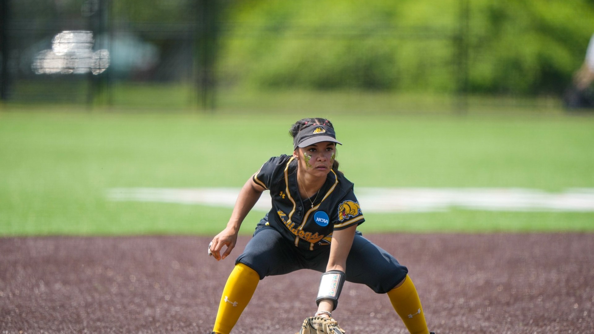 No. 8 Bulldogs Fall 6-2 to No. 1 East Stroudsburg in NCAA Atlantic Region Tournament