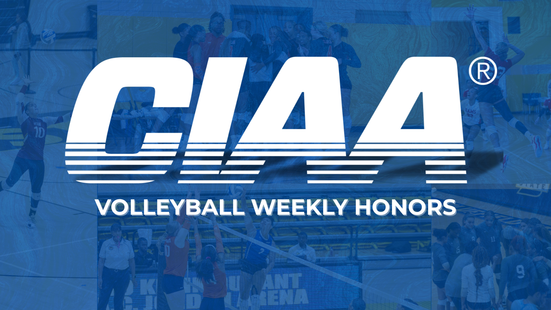 Volleyball Week Eight Players of the Week